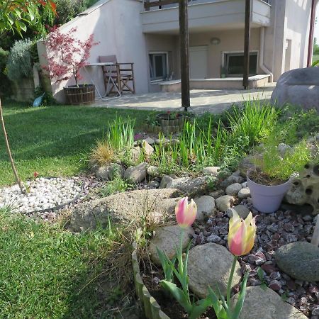 Guesthouse With Garden Komotini Exteriör bild
